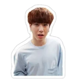 😦 kpop, person, man, male, celebrity, singer telegram sticker
