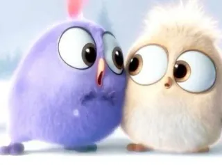 😯 vogels, schattig, cartoon, dieren, kippen whatsapp sticker