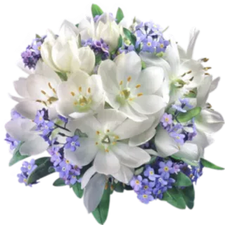 🌺 flowers, bouquet, white tulips, blue forget-me-nots, floral arrangement, spring telegram sticker