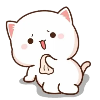 😰 Katze, Tier, süß, kawaii, Haustier telegram sticker