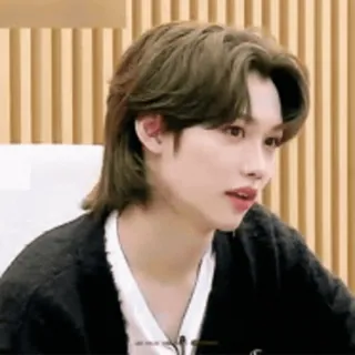🐤 Felix kpop, sänger, idol, koreanisch, männlich, promi telegram sticker