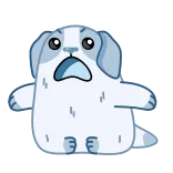 🤩 telegram sticker