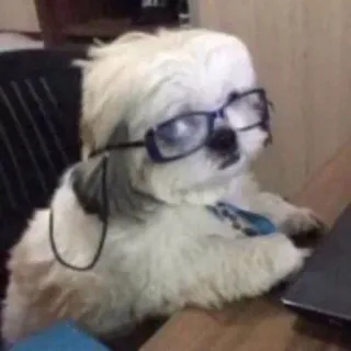 🤓 chien, lunettes, cravate, affaires, bureau, animal telegram sticker