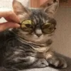 😎