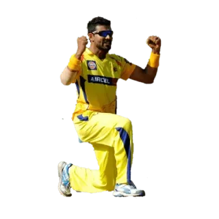 😈 Cricket, Sport, Spieler, Athlet, Chennai Super Kings whatsapp sticker