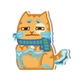 😖 gato, frío, bufanda, invierno, helado telegram sticker