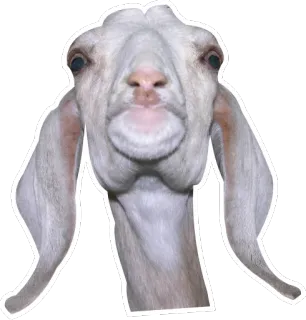 😨 goat, animal, farm, mammal, livestock telegram sticker