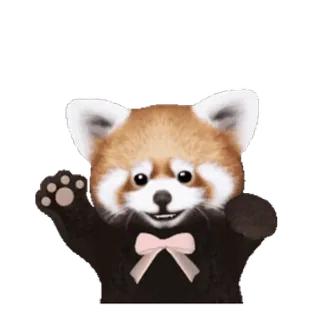 🎀 Panda rosso, Carino, Animale, Fiocco telegram sticker