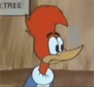 😕 Woody Woodpecker kreskówka, ptak, Woody Woodpecker, animowany, klasyczny whatsapp sticker