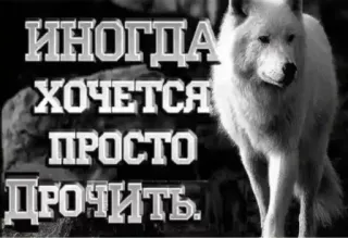 😍 ИНОГДА ХОЧЕТСЯ ПРОСТО ДРОЧИТЬ. wolf, russian, text, animal, meme telegram sticker