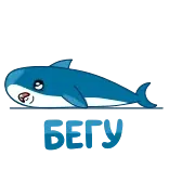 🏃‍♂️ SCIV 상어, 만화, 파란색, 귀여운, SCIV telegram sticker