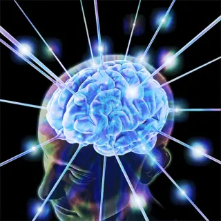 🧠 Gehirn, Kopf, Denken, Geist, Bewusstsein, Intelligenz telegram sticker