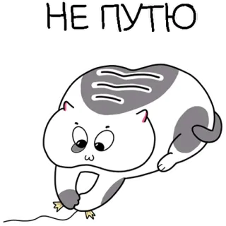 👏 НЕПУТЮ Katze, Cartoon, niedlich, Aufkleber, lustig, russisch telegram sticker