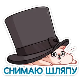 🤠 СНИМАЮ ШЛЯПУ кот, шляпа, русский, цилиндр, животное, милый telegram sticker