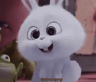 😡 @cocopry rabbit, cute, animal, bunny, white, pet, cartoon, character telegram sticker