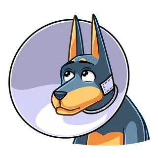 🤕 собака, конус, грустный, питомец, животное, милый telegram sticker