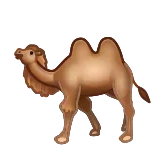 🐫