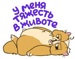 😂 у меня тяжесть в животе gatto, animale, esausto, stanco, pigro, assonnato telegram sticker