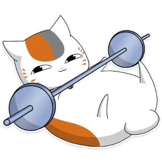 🏋️ gato, musculação, fitness, exercício, fofo, animal, barra whatsapp sticker