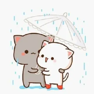 🐱 chat, parapluie, mignon, pluie, kawaii, dessin animé, animaux, autocollant telegram sticker