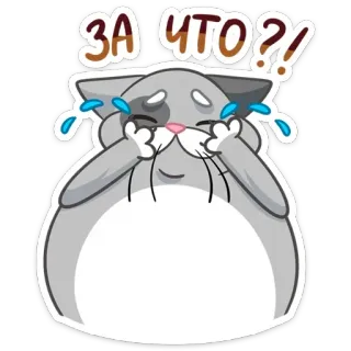 😭 ЗА ЧТО?! 猫, 哭泣, 伤心, 卡通, 贴纸, 眼泪, 俄语, 问题 telegram sticker