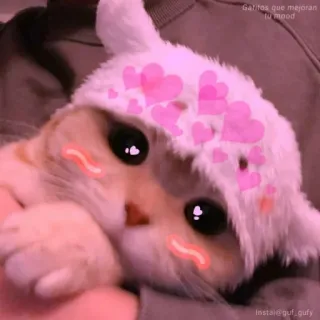 💖 gatitos que mejoran tu mood gatto, gattino, carino, cuori, animale, animale domestico, soffice telegram sticker