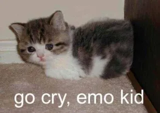 🌟 go cry, emo kid gato, gatinho, emo, insulto, triste telegram sticker