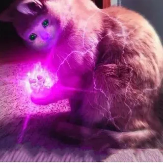 😩 gato, magia, electricidad, animal, mascota, energía telegram sticker