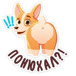 ⁉️ ПОНЮХАЛ?! cachorro, corgi, desenho animado, engraçado, pergunta, rabo whatsapp sticker