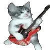 🐱