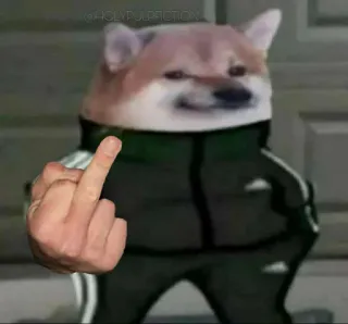 🖕 doge, 밈, 가운데 손가락, 불쾌한, 동물, 개, 트레이닝복 telegram sticker