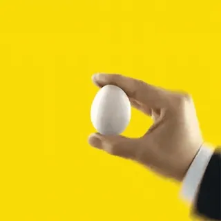 🍳 uovo, mano, sfondo giallo, cibo, proteine, che tiene whatsapp sticker