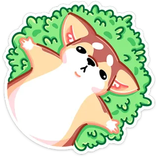 🤤 치와와, 강아지, 귀여운, 동물, 애완동물 telegram sticker