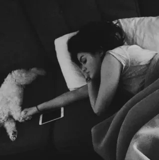 🥀 sleeping, woman, dog, bed, resting, pet, couch, relaxation telegram sticker