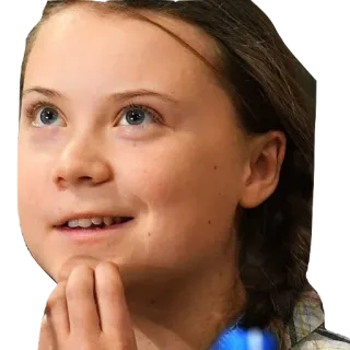 😬 Greta Thunberg Greta Thunberg, climate activist, portrait, activist telegram sticker