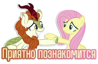 🤝 My Little Pony Приятно познакомиться my little pony, friendship, cartoon, pony, fluttershy, friend, greeting telegram sticker