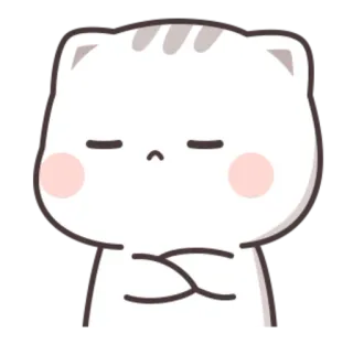 😤 kot, słodki, naklejka, zwierzę, koci telegram sticker