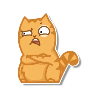 😒 gato, naranja, animal, dibujos animados, gracioso, enojado telegram sticker