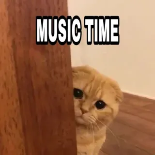 🍁 MUSIC TIME Katze, Musik, Zeit, Süß, Haustier, Tier telegram sticker
