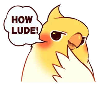 💖 HOW LUDE! pássaro, calopsita, adesivo, fofo, animal, que lascivo telegram sticker