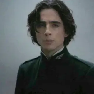 😐 Paul Atreides Dune Dune, Paul Atreides, Timothée Chalamet, science fiction, movie, film telegram sticker