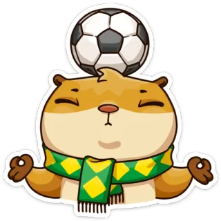 😐 criceto, calcio, calcio, animale, carino, meditazione, sciarpa telegram sticker