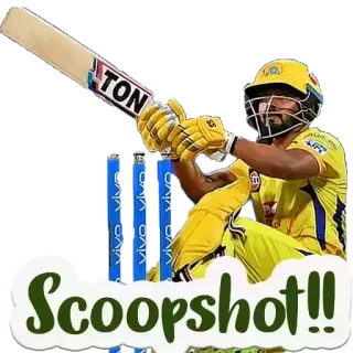 😊 Scoopshot!! cricket, esporte, rebatedor, scoop shot, jogador, taco whatsapp sticker