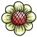 🌼