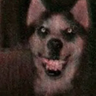 🐺 Smile Dog Creepypasta telegram sticker