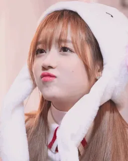 ✨ whatsapp sticker