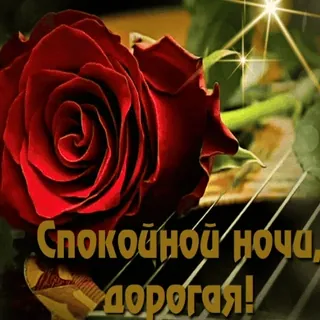 😴 Спокойной ночи, дорогая! whatsapp sticker