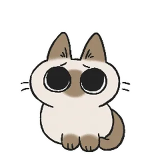 😢 chat, mignon, autocollant, animal, triste, chat siamois whatsapp sticker