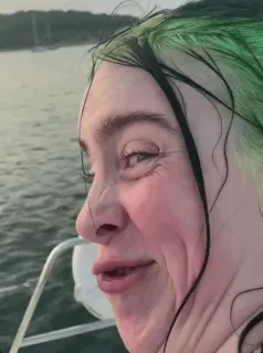 💚 Billie Eilish cantante, musicista, pop star, celebrità, Billie Eilish telegram sticker