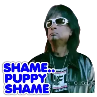 😊 SHAME.. PUPPY SHAME vergogna, cucciolo, delusione, critica, imbarazzo telegram sticker